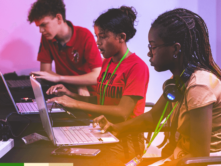 Computer Skills &ndash; Internet